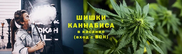 круглые Пересвет