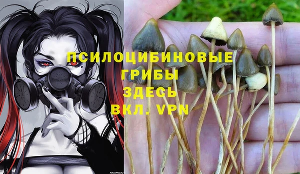 герыч Пестово