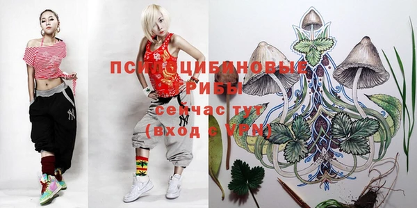 круглые Пересвет