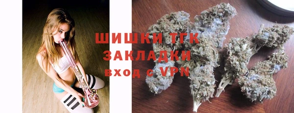 круглые Пересвет