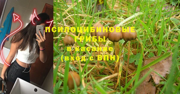 дмт Абаза